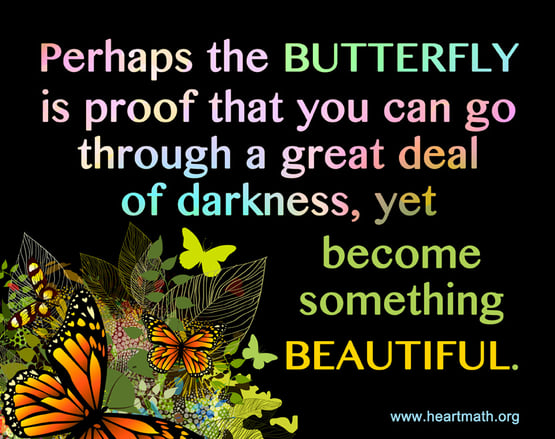 butterfly is proof that you can go through a lot of darkness, yet become something beautiful