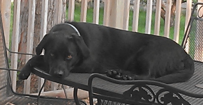 beau-on-deck-table-may-2015-4